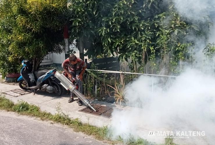 DBD di Sukamara Meningkat Selama Agustus