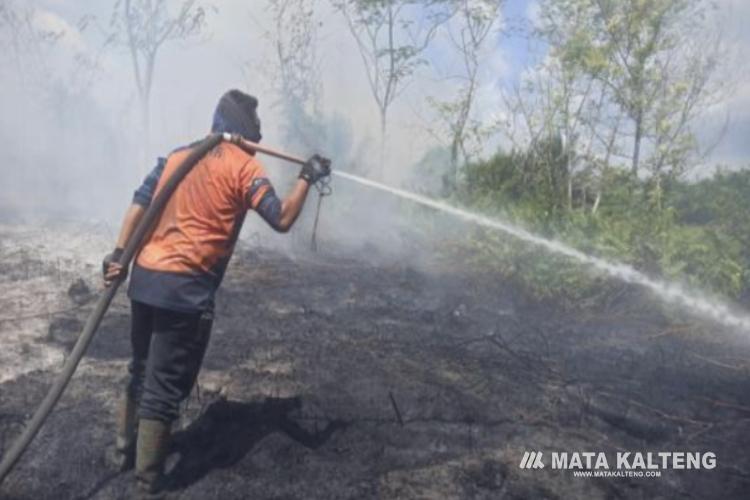 Pasca Hujan Lebat, Kualitas Udara di Kotim Membaik