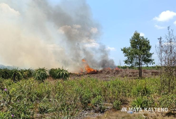 Hujan Mulai Turun, Bukan Pertanda Memasuki Musim Hujan