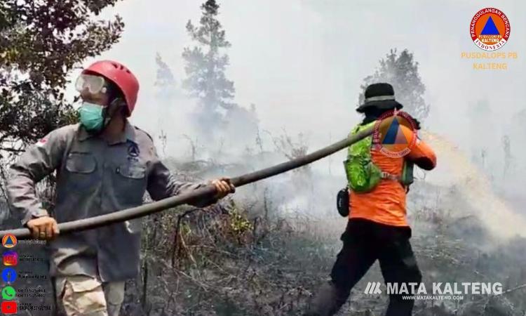 BPBPK Bentuk Tim Khusus Padamkan Karhutla di Desa Tumbang Nusa