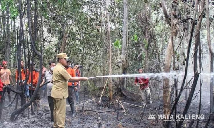 Pj Bupati Barsel Meninjau dan Memadamkan Api di Lokasi Karhutla Desa Bantai Bambore