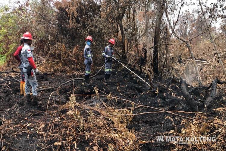 PT Adaro dan Dinas ESDM Turut Padamkan Api Karhutla