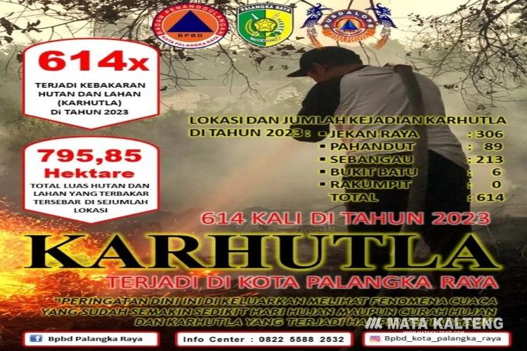 Karhutla di Palangka Raya Menurun, Curah Hujan Bantu Padamkan Api