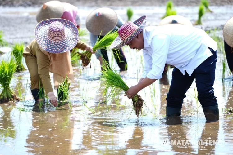 Meningkatkan Produktivitas dan Stabilitas Ketahanan Pangan Nasional