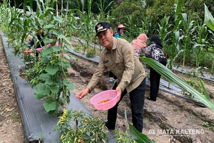 Transformasi Teknologi di Bidang Pertanian Harus Ditingkatkan