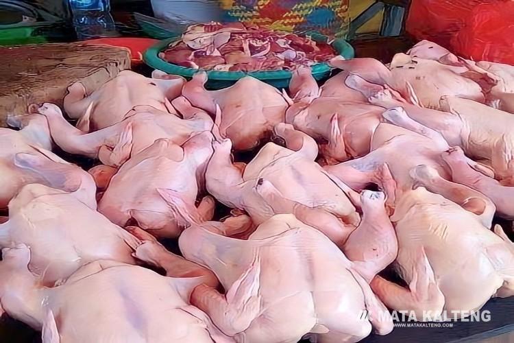 Tiket Pesawat dan Daging Ayam Komoditas Penyumbang Inflasi 