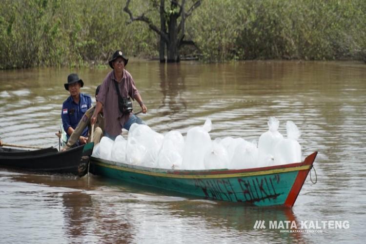 Restocking Benih Ikan: Memelihara Keberlangsungan Ikan Lokal