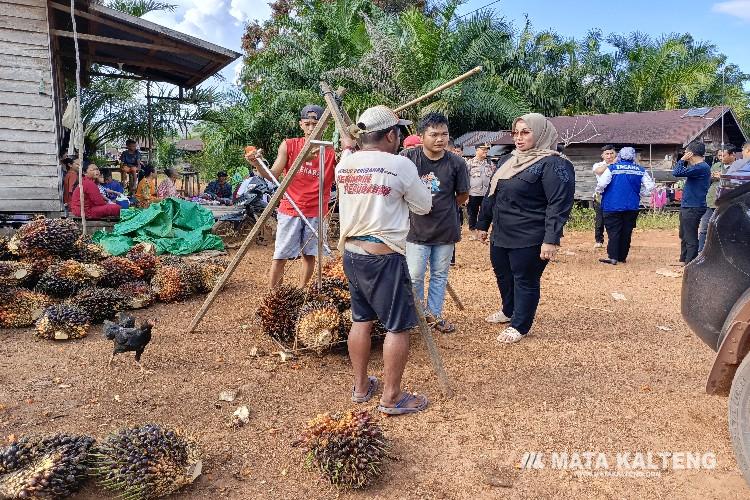 Dari 23 Desa yang Terendam Banjir, Desa Tehang Aman