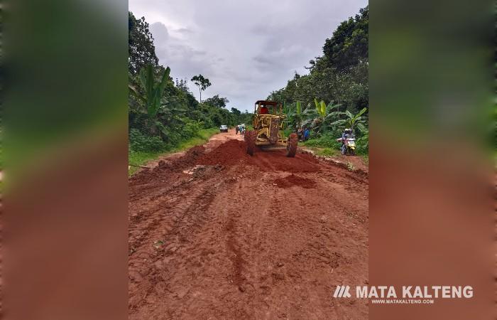 Akhirnya!! Ruas Jalan Cempaka Mulia dan Terantang Dilakukan Pemeliharaan