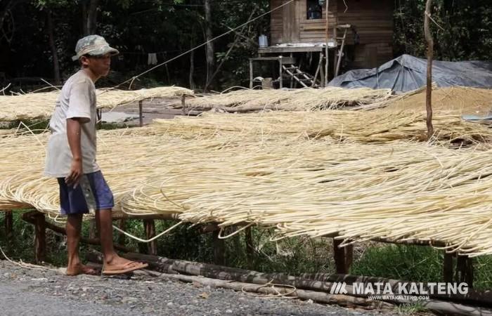 Pemkab Barsel Optimalkan Produk Karet, Rotan dan Batu Bata