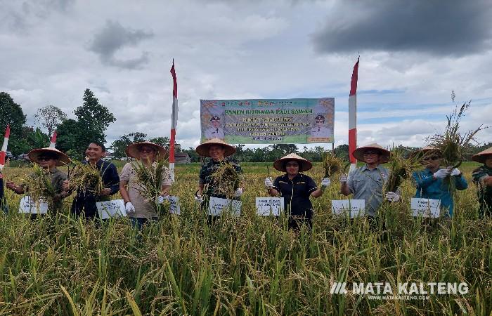 Kerja Sama Lakukan Pengembangan Lahan Padi Sawah