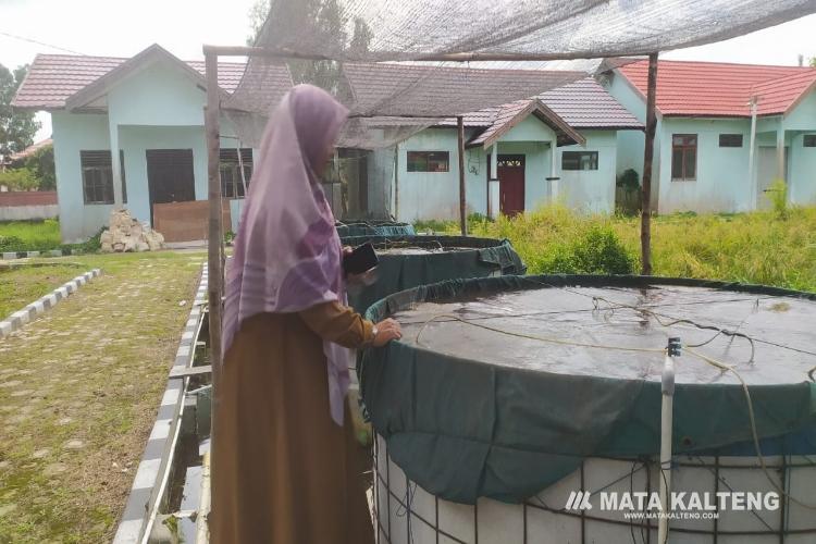 Pengembangan Budidaya Ikan Sistem Bioflok Mulai Disosialisasikan