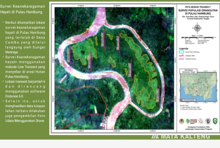 Hasil Survei Sosial Ekonomi di Pulau Hanibung, Masyarakat Meraup Untung Rp6 Miliar Setahun