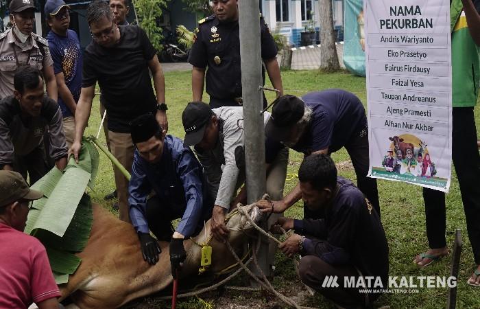 Berbagi keberkahan Iduladha, Kanwil DJPb Kalteng dan Bea Cukai Berbagi Daging Kurban