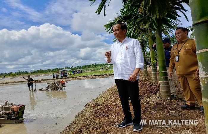 Presiden Joko Widodo Sebut Progam Pompanisasi Bantu Petani Tingkatkan Produksi Padi