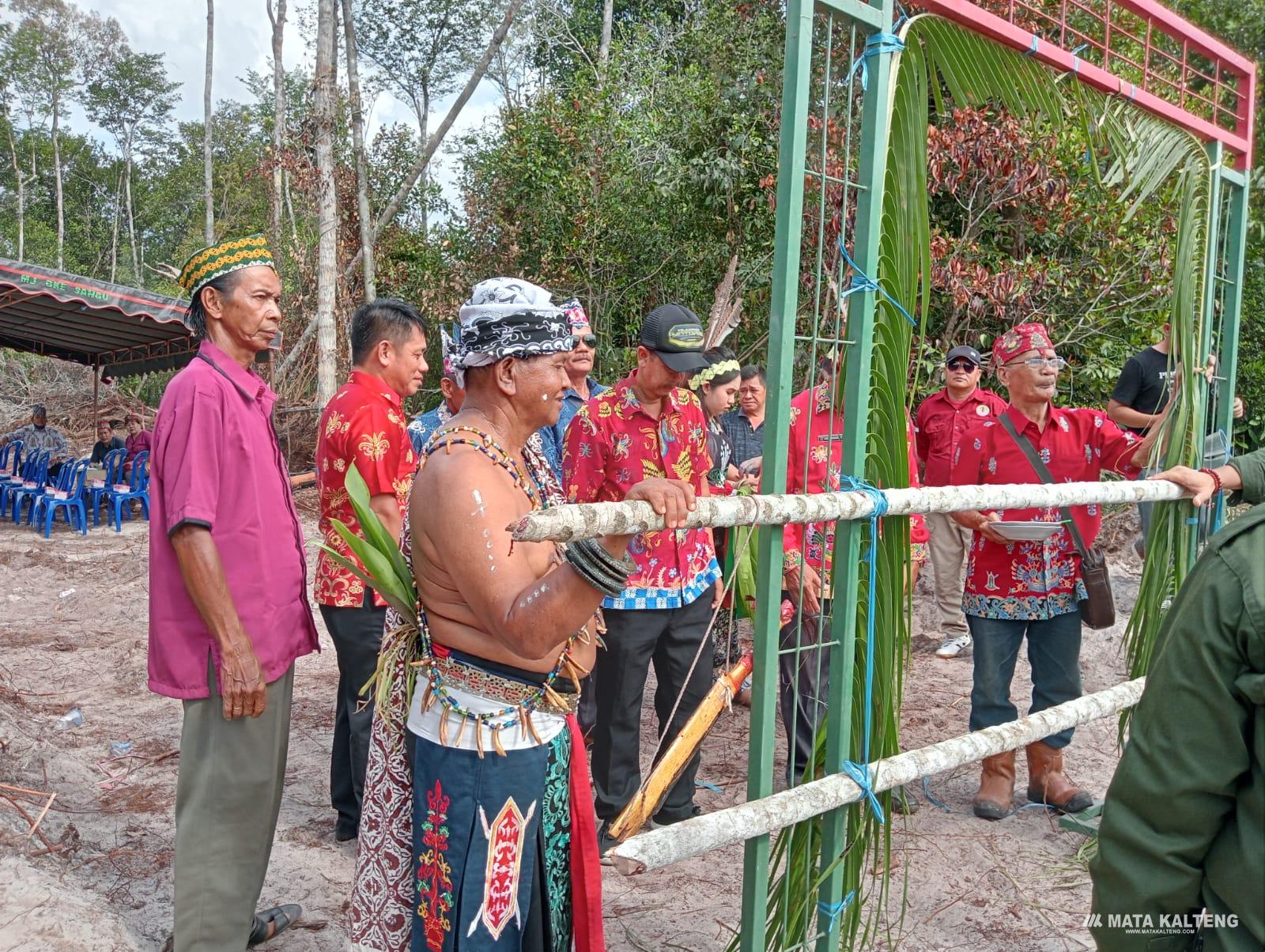 Usir Roh-roh Halus, PT BAM Gelar Ritual Adat Pemalasan di Areal Operasionalnya